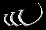 Widnes Vikings
