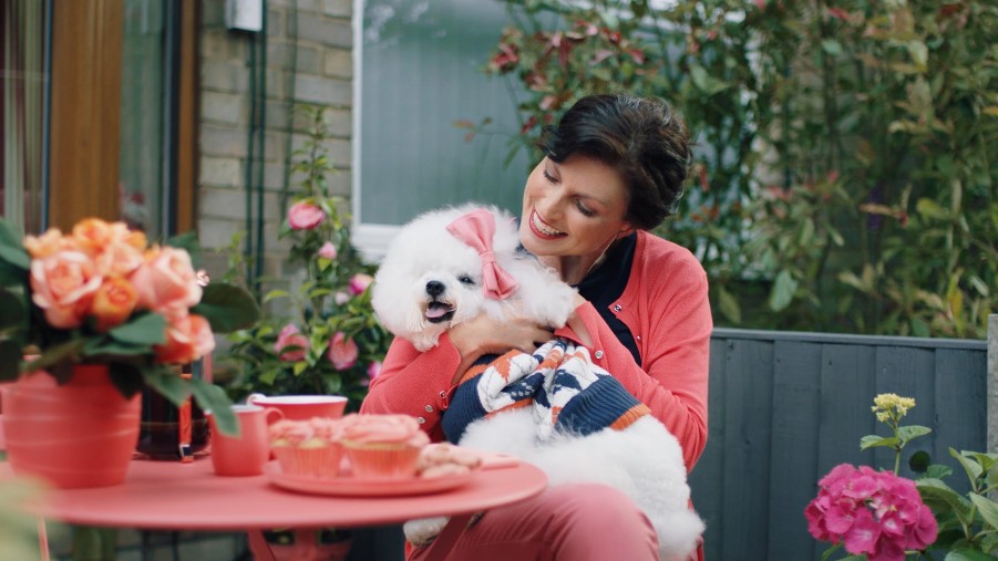 Watch out for the new Motorpoint TV ad Watch out for the new Motorpoint TV ad