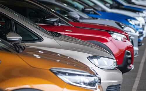 Williams Paint Protection