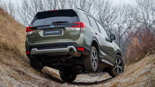 Subaru Forester off-road, rear
